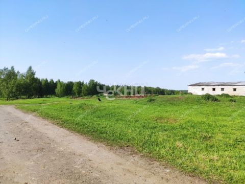 derevnya-mednikovo-gorodskoy-okrug-chkalovsk фото