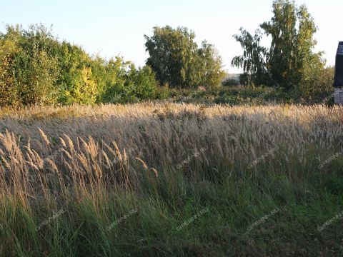 derevnya-kamenka-kstovskiy-rayon фото
