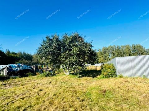 kottedzh-selo-ostankino-gorodskoy-okrug-bor фото