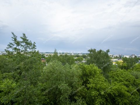 2-komnatnaya-ul-premudrova-d-12-k2 фото