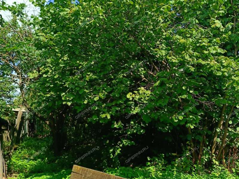 дом на деревня Шубино