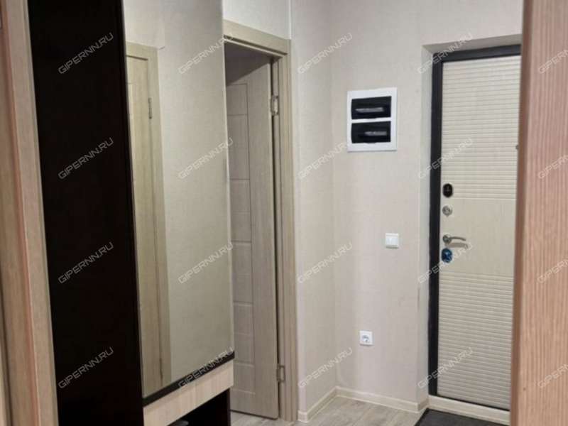 однокомнатная квартира на улице Белинского дом 100