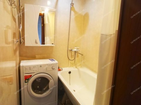 2-komnatnaya-poselok-burevestnik-bogorodskiy-municipalnyy-okrug фото