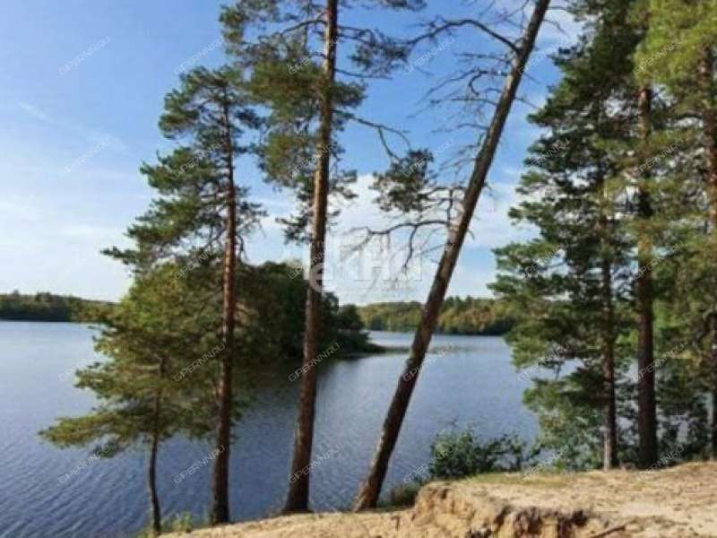 земельный участок 25 соток Центральная село Наумовка