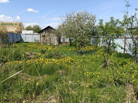 dacha-snt-sokol-sad-n1-snt-sokol-n1 фото