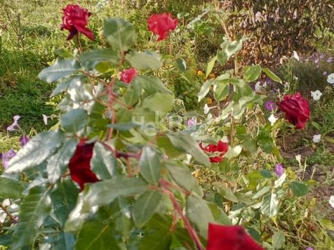 2-komnatnaya-gorod-gorodec-gorodeckiy-rayon фото