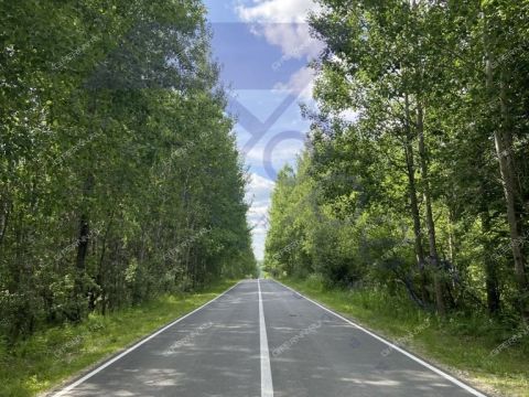 dom-derevnya-ogibnoe-semenovskiy-gorodskoy-okrug фото
