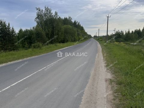 sherstnevo-gorodskoy-okrug-bor фото