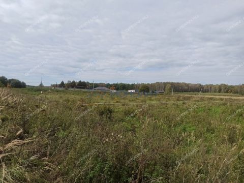 derevnya-polec-bogorodskiy-municipalnyy-okrug фото