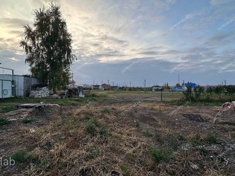 selo-bezvodnoe-kstovskiy-rayon фото