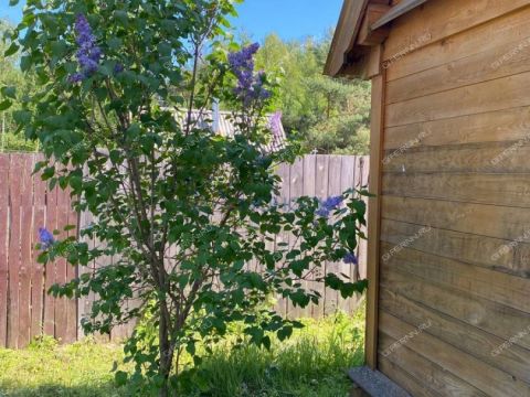 derevnya-berezniki-gorodeckiy-rayon фото