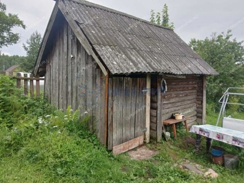 dacha-derevnya-klopiha-semenovskiy-gorodskoy-okrug фото