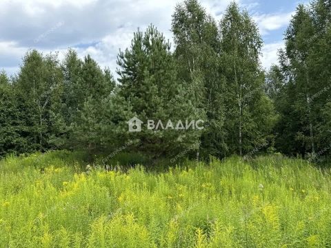 massiv-2-ya-zona-bogorodskiy-municipalnyy-okrug фото