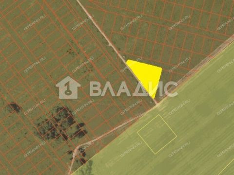 selo-efimevo-bogorodskiy-municipalnyy-okrug фото