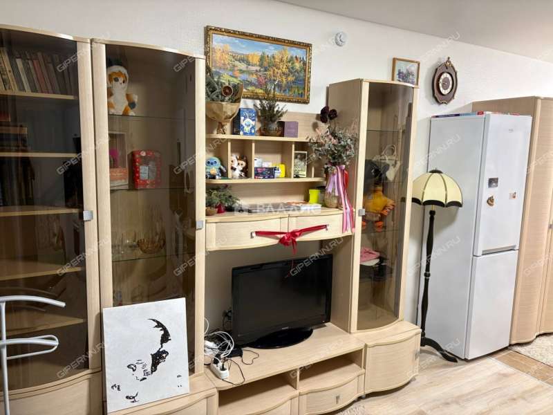 квартира-студия на Русской улице улице дом 19 деревня Анкудиновка