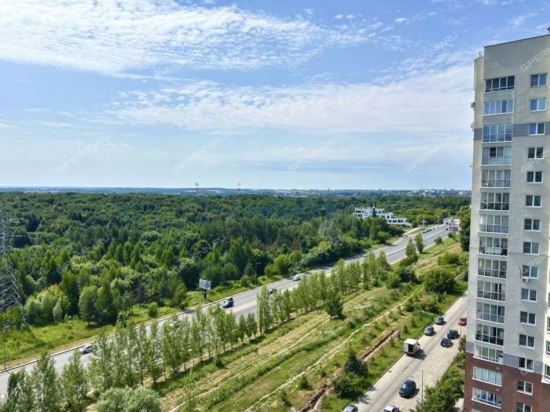 трёхкомнатная квартира на улице Академика Сахарова дом 113