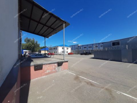 shekspira-ul-d-1b фото
