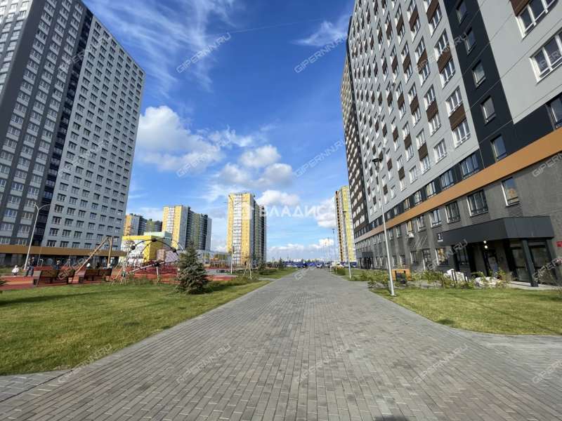 двухкомнатная квартира на Черкесской улице дом 15 деревня Анкудиновка