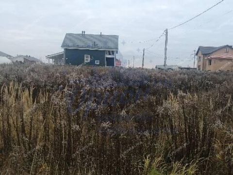 gorod-bor-gorodskoy-okrug-bor фото