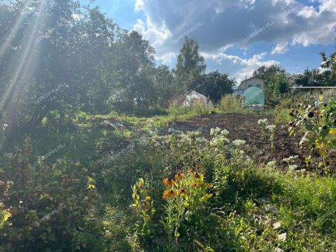 novinskiy-selsovet фото