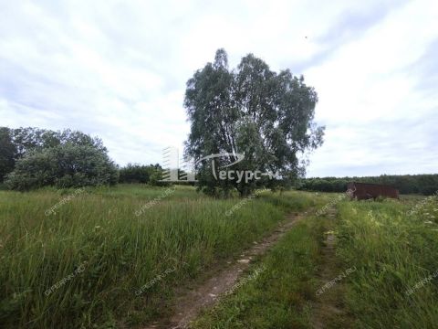 derevnya-zmeyka-gorodskoy-okrug-vyksa фото