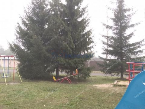 3-komnatnaya-derevnya-lyahovo-ul-kashhenko-d-14 фото