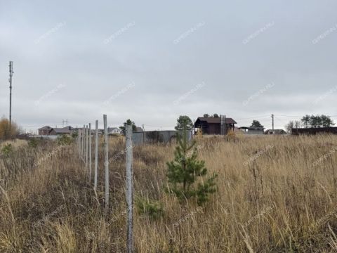 selo-efimevo-bogorodskiy-municipalnyy-okrug фото