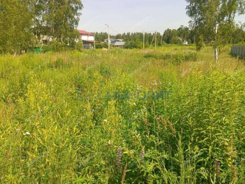 земельный участок 10 соток ДНП Возрождение деревня Золотово (Ситниковский сельсовет