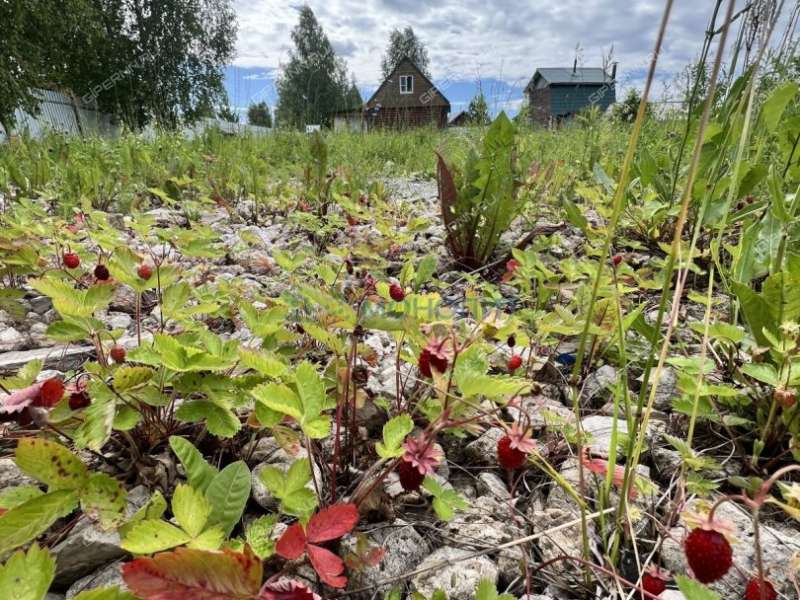 дом на Земляничной улице деревня Инютино
