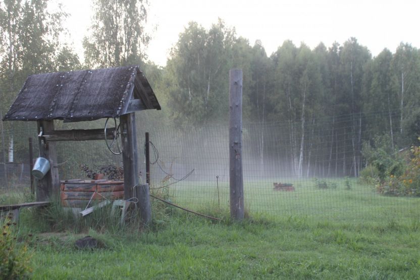Фото: Ксения Ражева / gipernn.ru