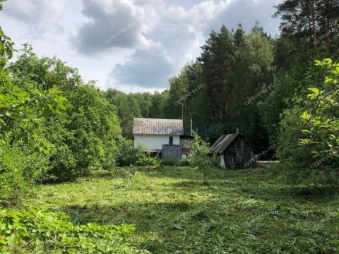 derevnya-orinkino-bogorodskiy-municipalnyy-okrug фото