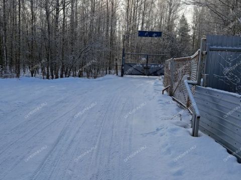 dacha-snt-n6-berezka-balahninskiy-municipalnyy-okrug фото