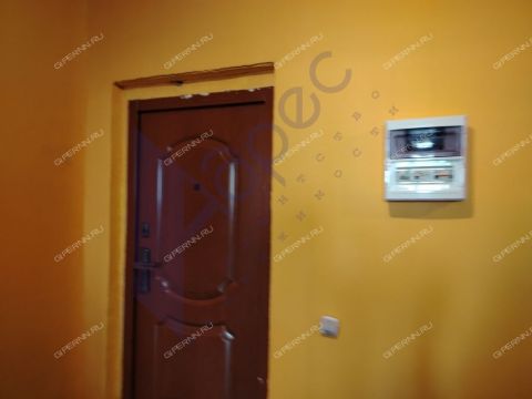 1-komnatnaya-derevnya-afonino-kstovskiy-rayon фото