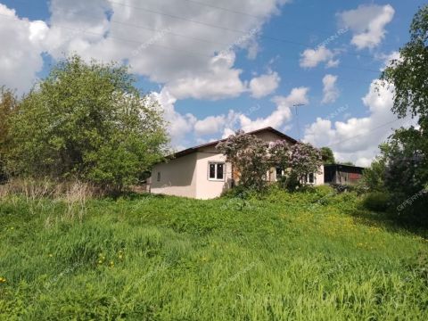 derevnya-kopnino-bogorodskiy-municipalnyy-okrug фото