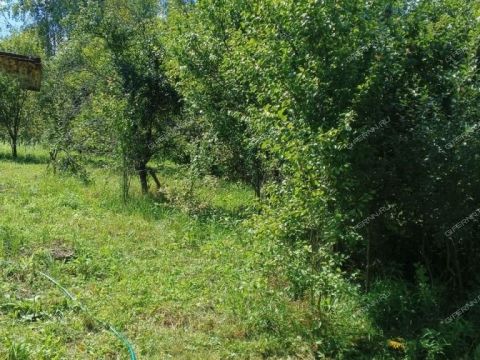 snt-berezka-1-bogorodskiy-municipalnyy-okrug фото
