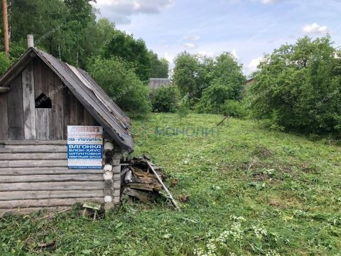derevnya-orinkino-bogorodskiy-municipalnyy-okrug фото