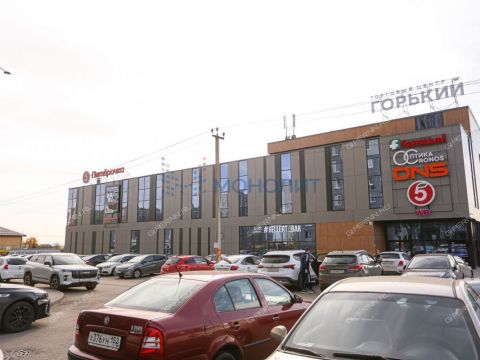 1-komnatnaya-derevnya-ankudinovka-kstovskiy-rayon фото