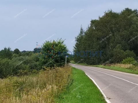 derevnya-ionovka-bogorodskiy-municipalnyy-okrug фото
