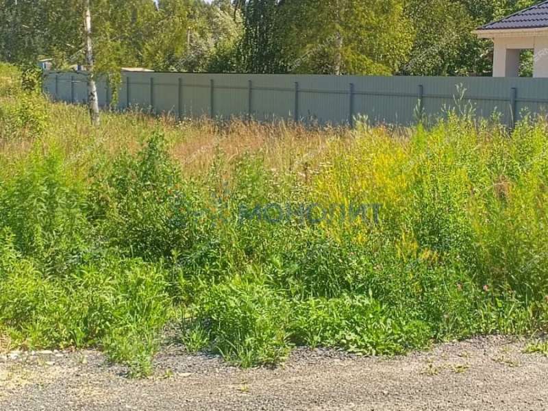 земельный участок 10 соток ДНП Возрождение деревня Золотово