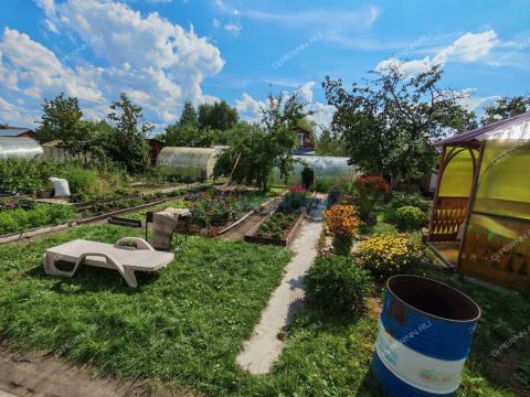 dacha-volga-3-st-volga-3-d-454 фото