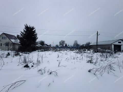 derevnya-burcevo-bogorodskiy-municipalnyy-okrug фото