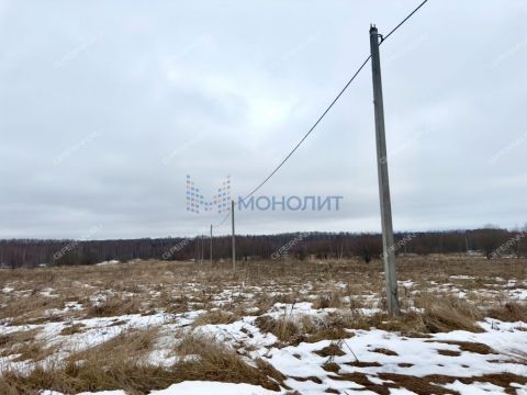 derevnya-kolosiha-gorodskoy-okrug-chkalovsk фото