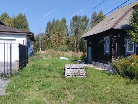 derevnya-ilinskoe-krasnoslobodskiy-selsovet-gorodskoy-okrug-bor фото