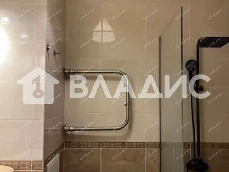 однокомнатная квартира на Русской улице улице дом 5 деревня Анкудиновка