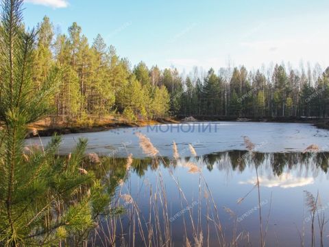 dom-poselok-kerzhenec-gorodskoy-okrug-bor фото