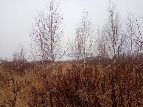 gorod-bogorodsk-bogorodskiy-municipalnyy-okrug фото