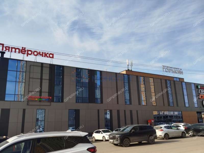 двухкомнатная квартира на Русской улице улице дом 9 деревня Анкудиновка