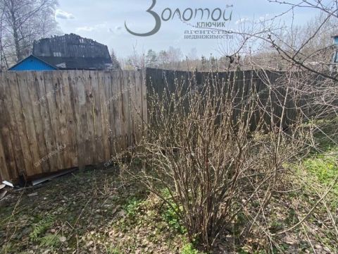 derevnya-syrohvatovo-gorodskoy-okrug-bor фото