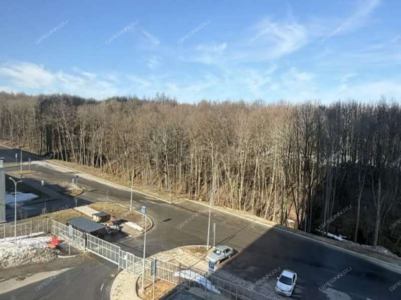 двухкомнатная квартира на улице Академика Чазова дом 3