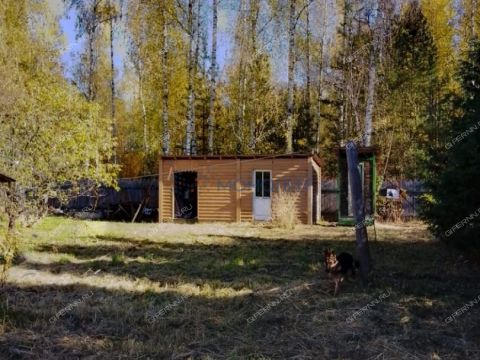 dacha-50-let-oktyabrya-kanavinskiy-r-n-ter-snt фото